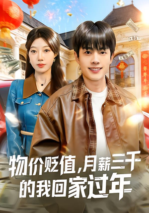 物价贬值，月薪三千的我回家过年（80集）评价怎么样