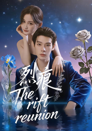 烈痕（35集）360网盘观看