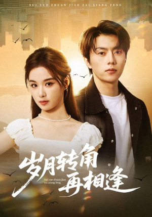 岁月转角再相逢（80集）最火短剧热播