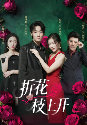 折花枝上开（51集）零花钱看整部剧
