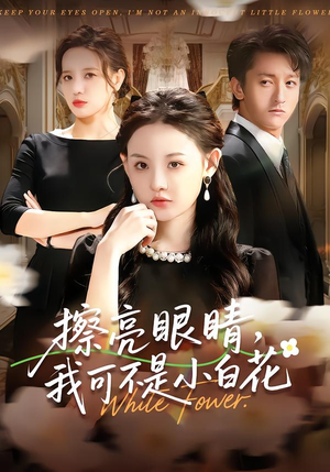 擦亮眼睛，我可不是小白花（60集）免费短剧资源