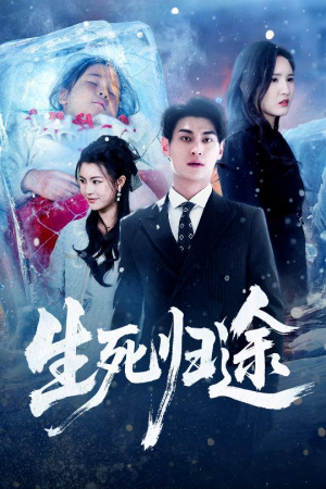 生死归途（50集）热播短剧排行榜