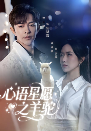心语星愿之羊驼(60集) 心语星愿之羊驼(60集)百万短剧抢先看