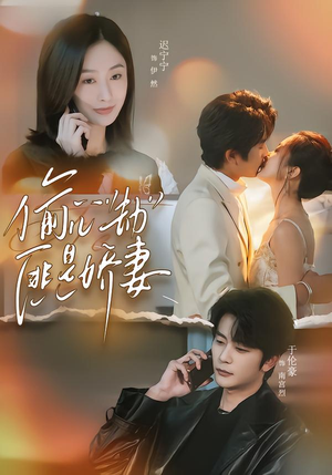 偷“心”劫匪是娇妻（61集）迅雷网盘观看