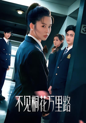 不见桐花万里路（71集）在线看完整版