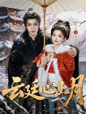 云廷心上月（80集）精彩短剧后续