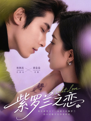 紫罗兰之恋（82集）西瓜短剧免费看