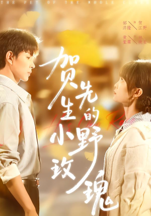 贺先生的小野玫瑰(99集) 贺先生的小野玫瑰(99集)短剧在哪个平台