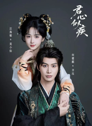 君心似疾（80集）海量资源免费看