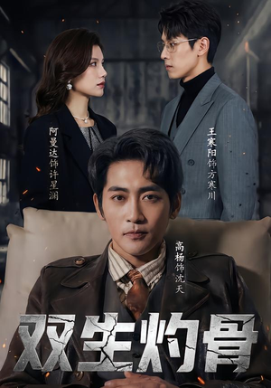 双生灼骨（60集）一共多少集