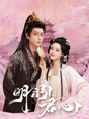 明月引君心（74集）越看越好看短剧