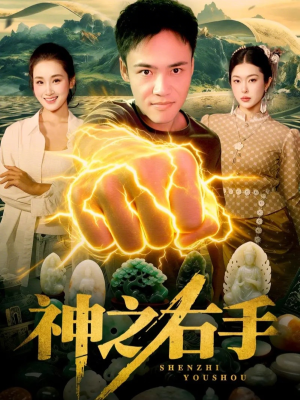 神之右手（100集）海量短剧免费看