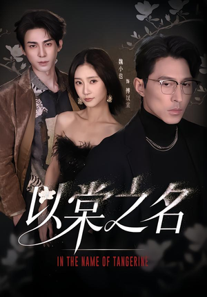 以棠之名（66集）好看短剧看不停