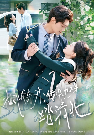 枫城奇才：传承加身踏清北（80集）短剧免费看全集