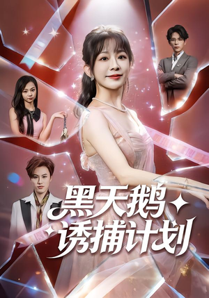 黑天鹅诱捕计划（81集）古装短剧推荐