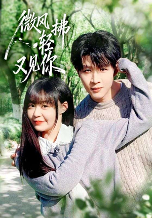 微风轻拂又见你（66集）全网短剧抢先看