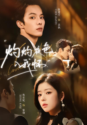 灼灼夜色入我怀（60集）分享热门短剧