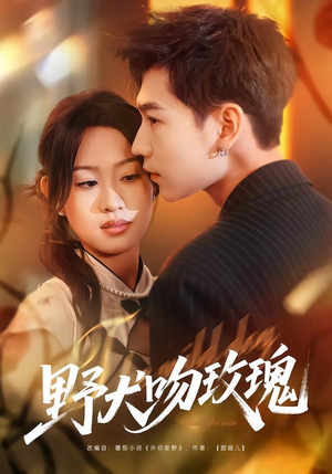 野犬吻玫瑰(70集) 野犬吻玫瑰(70集)热播短剧免费看