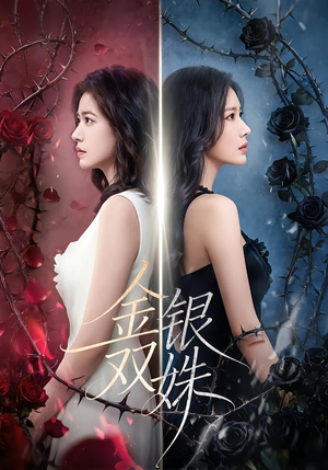 金银双姝（80集）精彩不断免费看