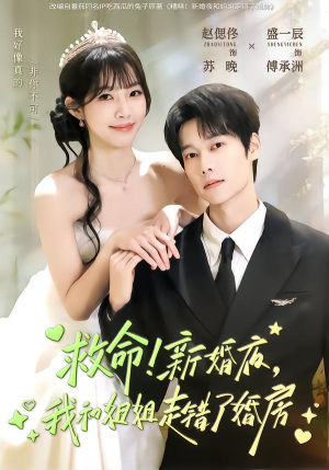 救命!新婚夜,我和姐姐走错了婚房(58集) 救命!新婚夜,我和姐姐走错了婚房(58集)最近很火的短剧