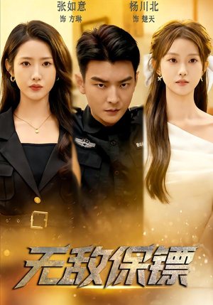 无敌保镖（62集）免费观看