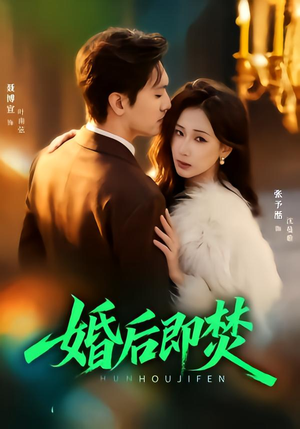 婚后即焚（77集）短剧越看越精彩