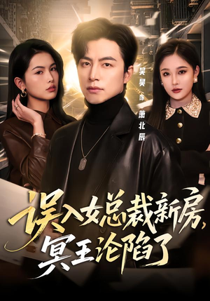误入女总裁新房，冥王沦陷了（80集）男主角是谁