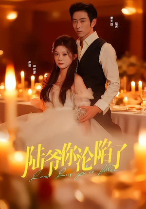 陆爷你沦陷了（78集）更新时间