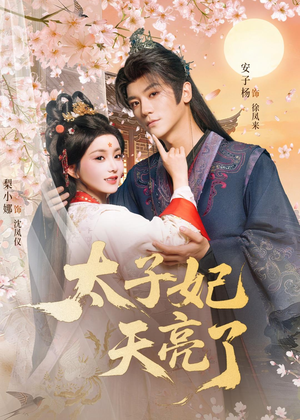 太子妃天亮了（80集）好看到停不下来