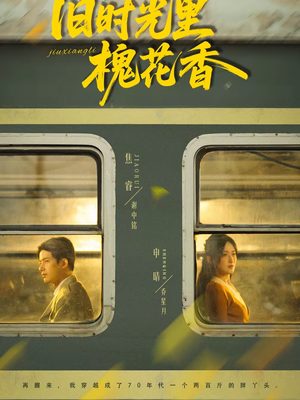 旧时光里槐花香（70集）精彩的网络短剧