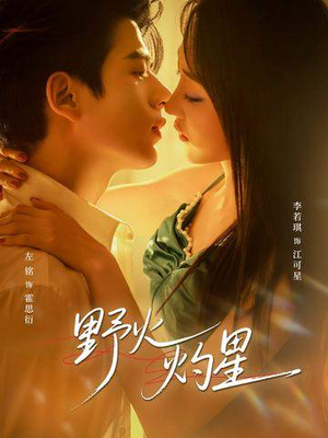 野火灼星(56集) 野火灼星(56集)直接追到结尾