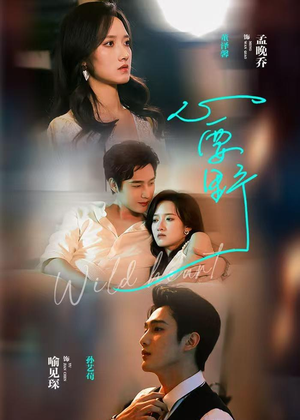 心要野（62集）抢先看热门短剧