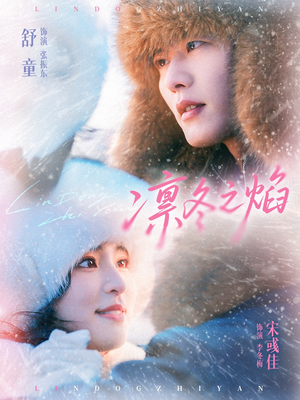 凛冬之焰（80集）热播短剧重燃