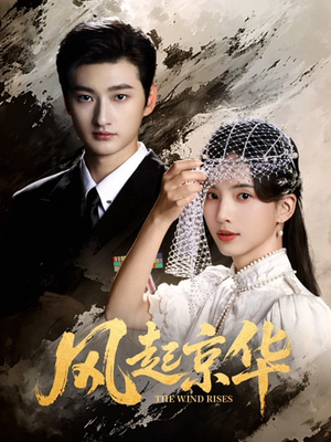 风Q京华（60集）免费短剧大全