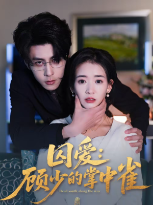 囚爱：顾少的掌中雀（70集）短剧抢先看全集