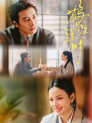 鹤归瑾时（81集）最火爆短剧