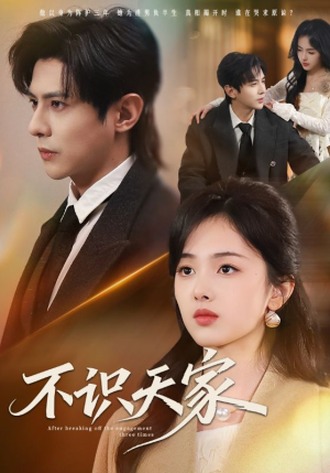 不识天家（69集）经典老剧免费看