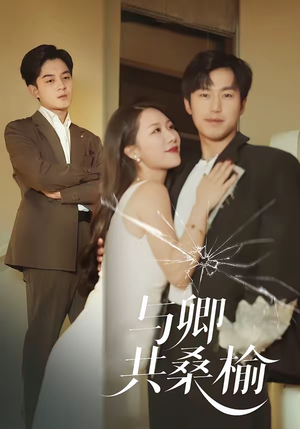 与卿共桑榆(63集) 与卿共桑榆(63集)高分推荐免费看